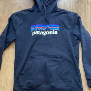 Säljer min patagonia hoodie i storlek M