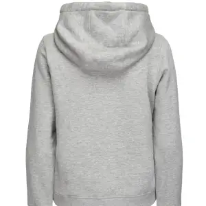 Säljer denna jättefina gråa hoodie!! Säljer billigt då jag vill bli av med den och behöver pengar❤️❤️ Priset kan diskuteras🙌🏻 Bilderna är lånade💕
