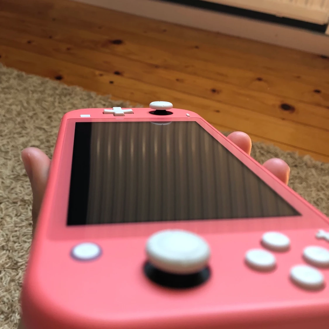 Nintendo switch light