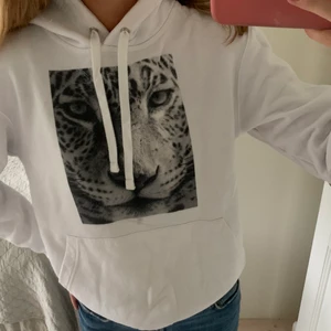 The cool elephant hoodie!  - Nästan helt oanvänd the cool elephant hoodie!  Nypris : 599  Köparen står för frakt! 