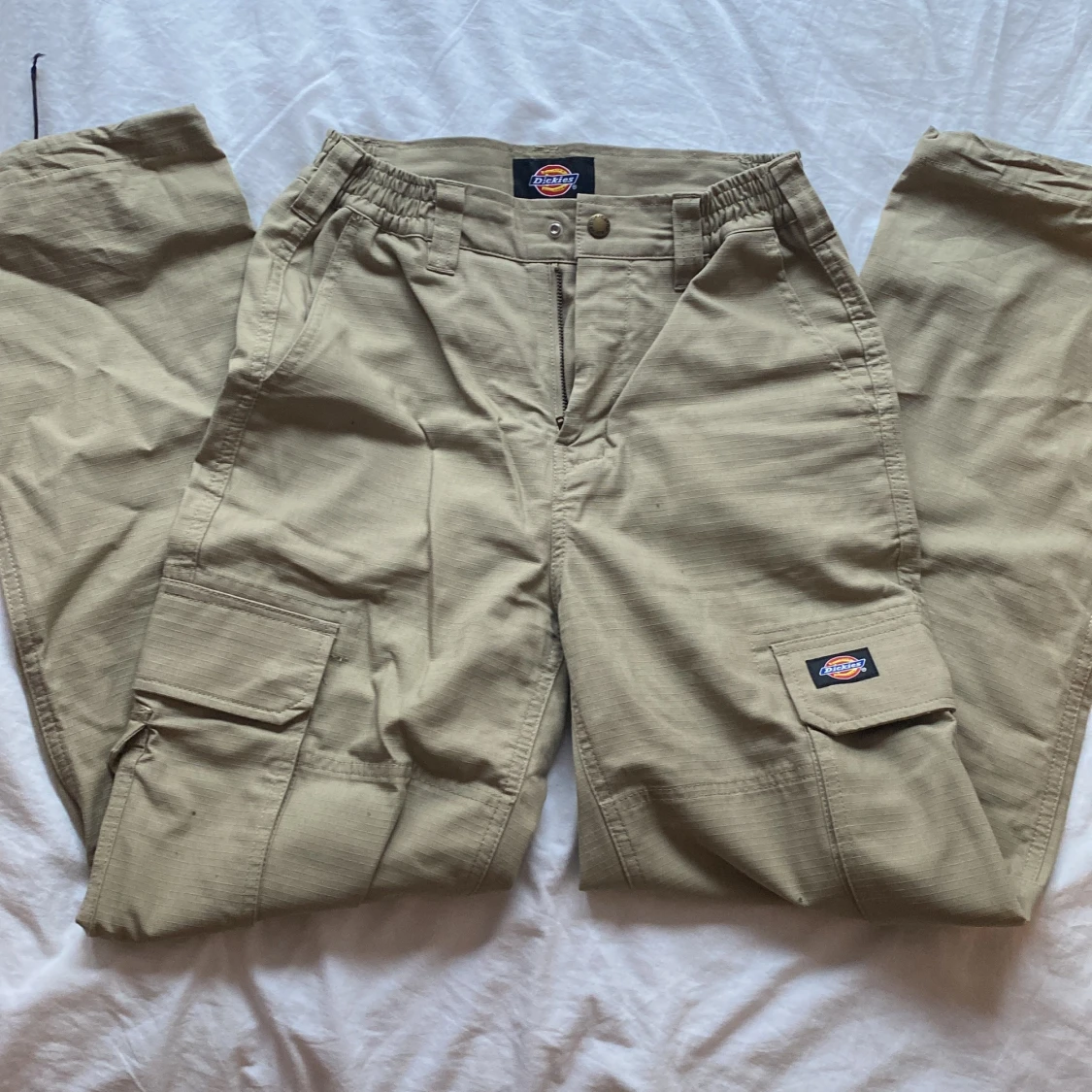Dickies Cargo Pants