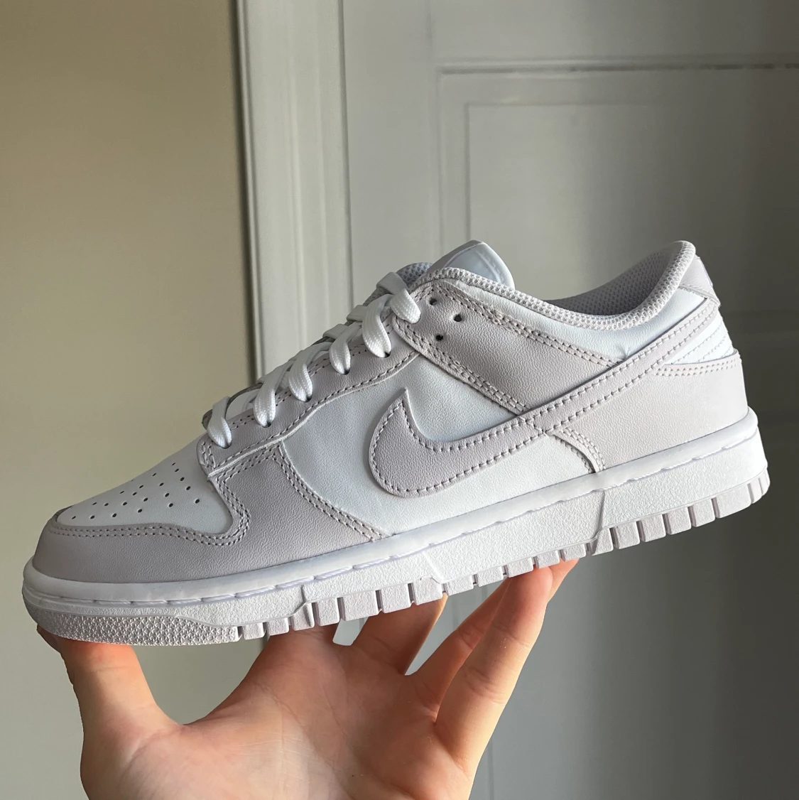 Nike dunk low venice