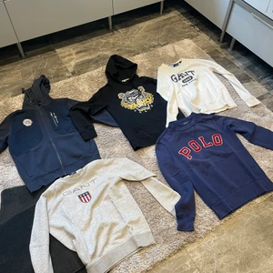 Märkes Hooddies - Lite olika märkes tröjor, alla är i bra skick, kan släppa billigt vid snabba affär!