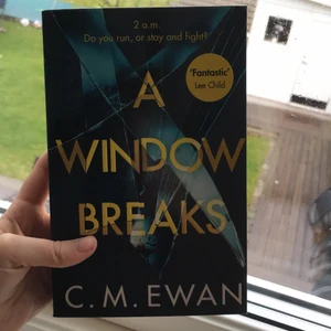 A Window Breaks - Säljer denna boken jag köpt, det är i bra skick och är bara läst en gång! Kontakta mig om intresserad, vill ha fler bilder eller vill ha någon information! Vi kan diskutera om frakt :) Total kostnad är 95kr