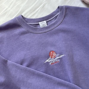 Sweatshirt - Super skön sweatshirt köpt på urban outfiters, kommer inte till användning längre 