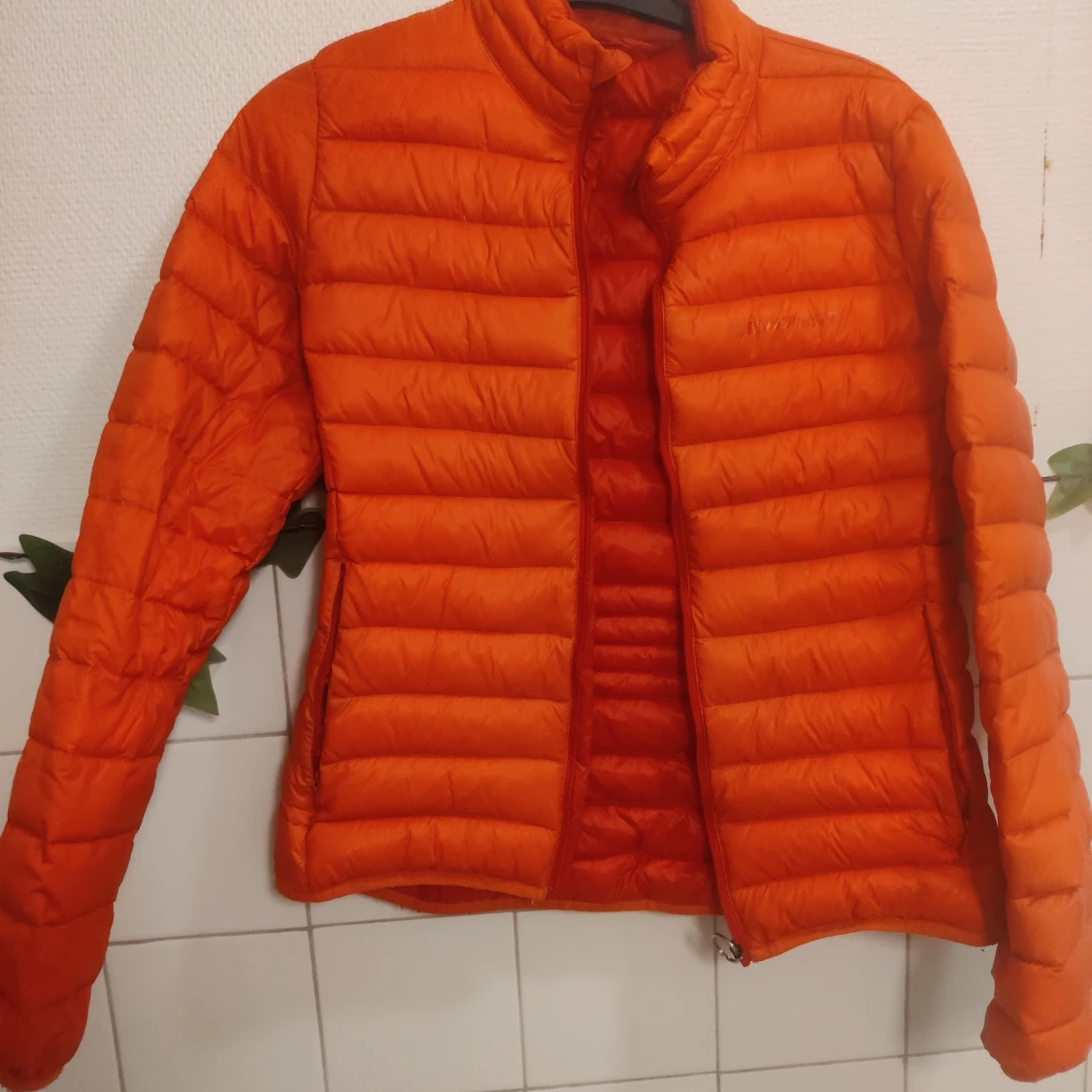 Jacka, Everest strl S