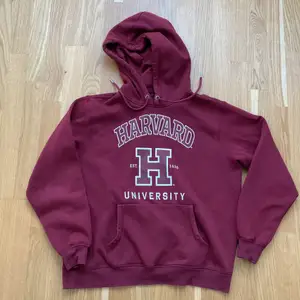 Snygg college hoodie i vintage stil. Är i perfekt skick och passar alla från S-L. 
