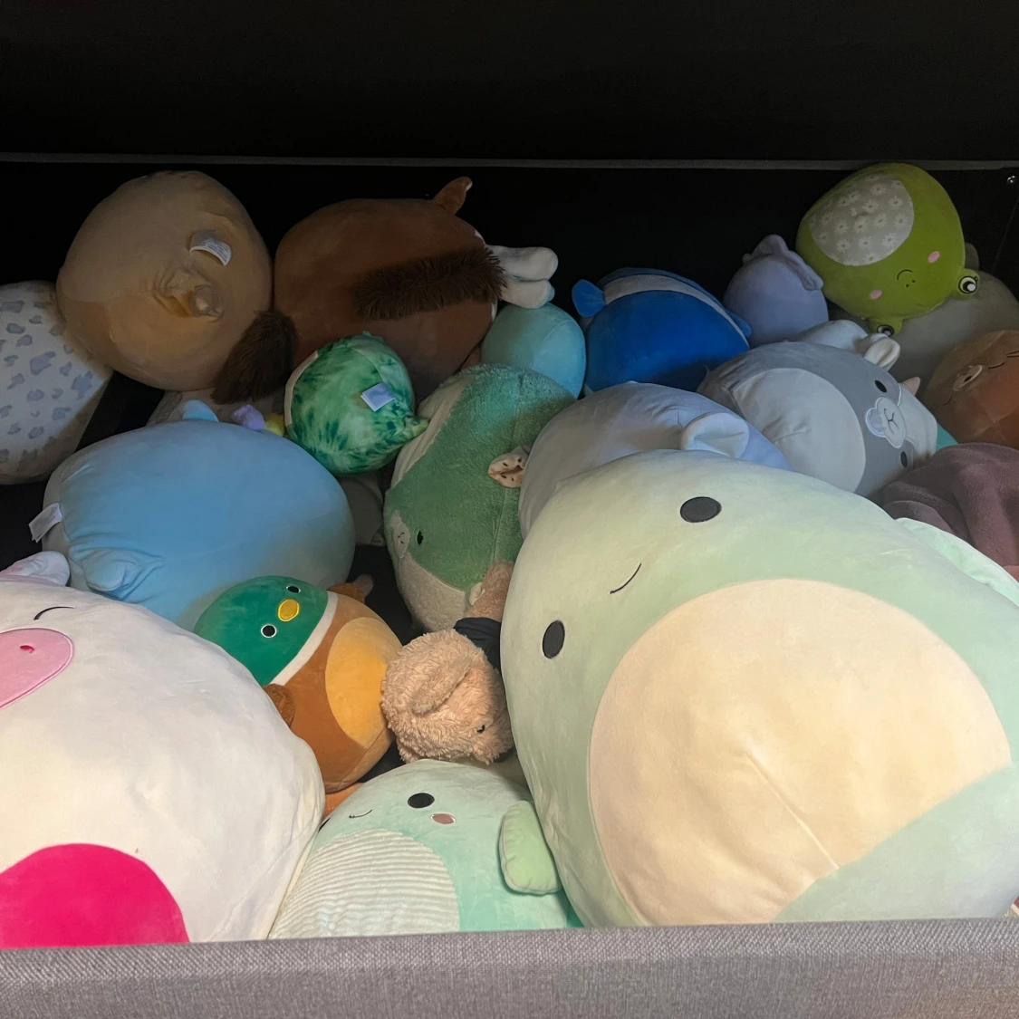 Squishmallow/squishmallows  - 2