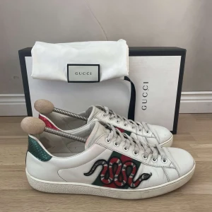 Gucci ace snake  - Gucci ace snake || skick 8/10 || stl 9 1/2 - EU 43,5-44 || tillbehör: Box o dustbag || skorna är lite smutsiga, finns även en missfärgning på höger sko (bild 4). De är i väldigt bra skick utöver de! || hör av er vid frågor mvh LuxuryTrends🙌