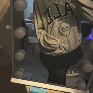 Grå sweatshirt från H&M med Yale-tryck - Säljer en grå sweatshirt från H&M med stort Yale-tryck på framsidan. Tröjan är i bra skick och har långa ärmar samt en bekväm passform. Perfekt för en avslappnad stil eller mysiga dagar hemma. 🐻