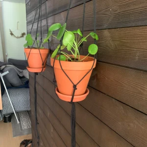 Jag säljer amplar två stycken svarta i ampel rep. Bomullsgarn.Min hobby och terapi .  - Säljer en ampel / växthängare som krukan hänger i ett svart amplerep av textil, perfekt för att ge rummet en modern och naturlig känsla. Ampel är i tillverkade av mig som hobby och terapi .Mvh Ida . 