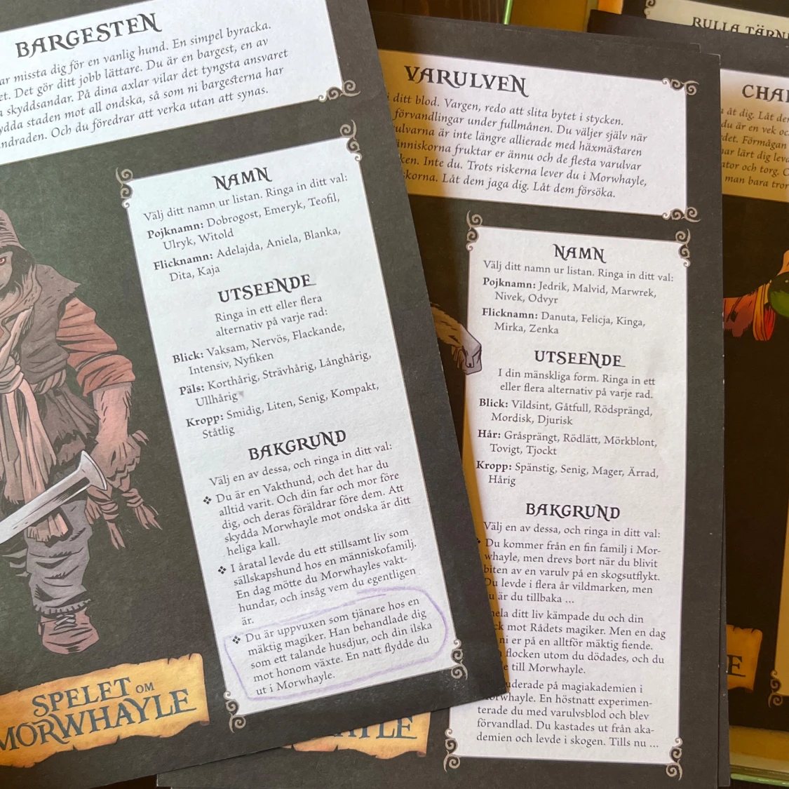 Spelet om Morwhayle - 1