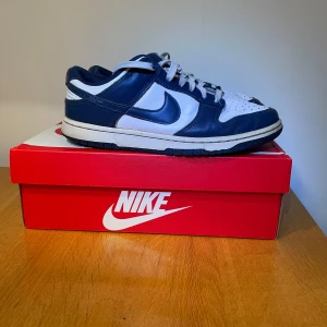 Nike Dunk Low Valerian Blue - Nike dunk low retro valrian blue säljes. Använt skick men inga fel. Storlek 41 