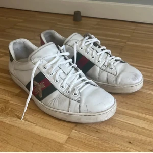 Gucci ace skor - Säljer ett par feta Gucci Ace skor! | Storlek: 43,5 (Passar 44) | Skick: 7/10 | Originalpris: 9000kr | Mitt pris: 1800kr | Dustbag medföljer | Äkthetsbevis finns! | Skriv vid minsta lilla fundering!😁
