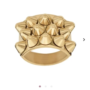 Edblad ring - Guldig edblad ring med taggar. Ser helt ny ut🥰🥰