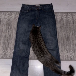 Blå jeansbyxor från Levis - Säljer ett par klassiska blå jeansbyxor från Levis med straight fit. De har en knappgylf och femficksdesign. Perfekta för en avslappnad stil. Katt med kommer ej💔