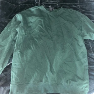 Sweatshirt - En grön sweatshirt köpt från H&M. Är använd men i gott skick. Färgen kan se lite annorlunda ut på bilderna. Det är en ganska grön tröja och inte mörkgrön. Skriv vid frågor.