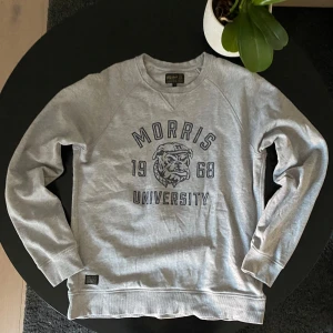 Morris tröja - Säljer en grå tröja från Morris 🩶| Nästan helt oanvänd | Perfekt för en avslappnad stil. Pris kan diskuteras vid snabb affär 💰| först till kvarn | fraktar snabbt 💨
