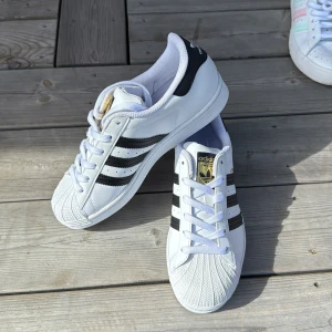 Adidas sneakers - Oanvända superstars sneakers från adidas i strl 38💗