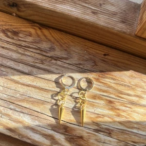 Long spike - Säljer ett par coola guldiga örhängen med spikes på.