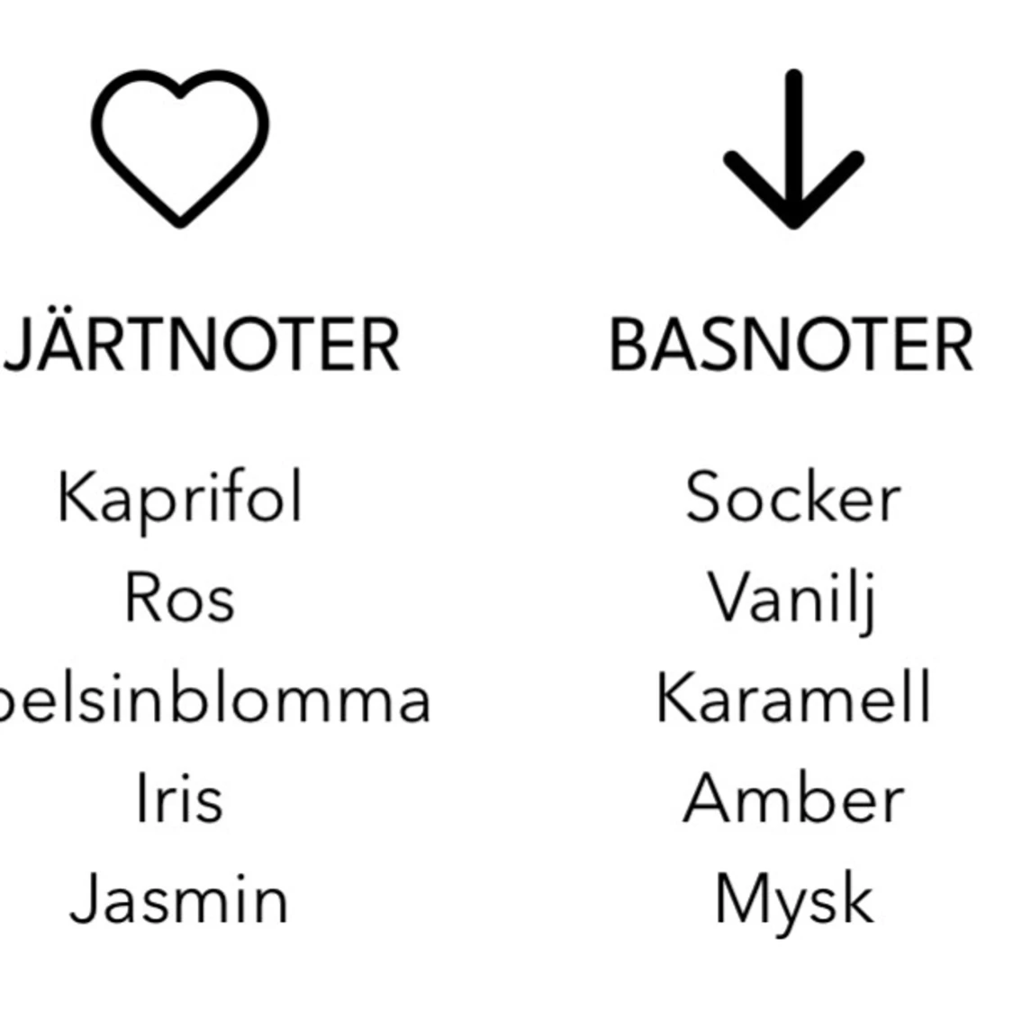 ESSNCE Orange Blossom Eau de Parfum - 2