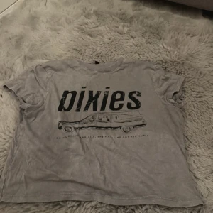 Grå  t-shirt med tryck - Säljer en grå t-shirt med stort Pixies-tryck och motiv av en bil på framsidan. T-shirten har korta ärmar och en klassisk rund hals.  Storlek M från H&M
