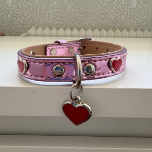 Hundhalsband  - Ett helt nytt hundhalsband på 35 cm!