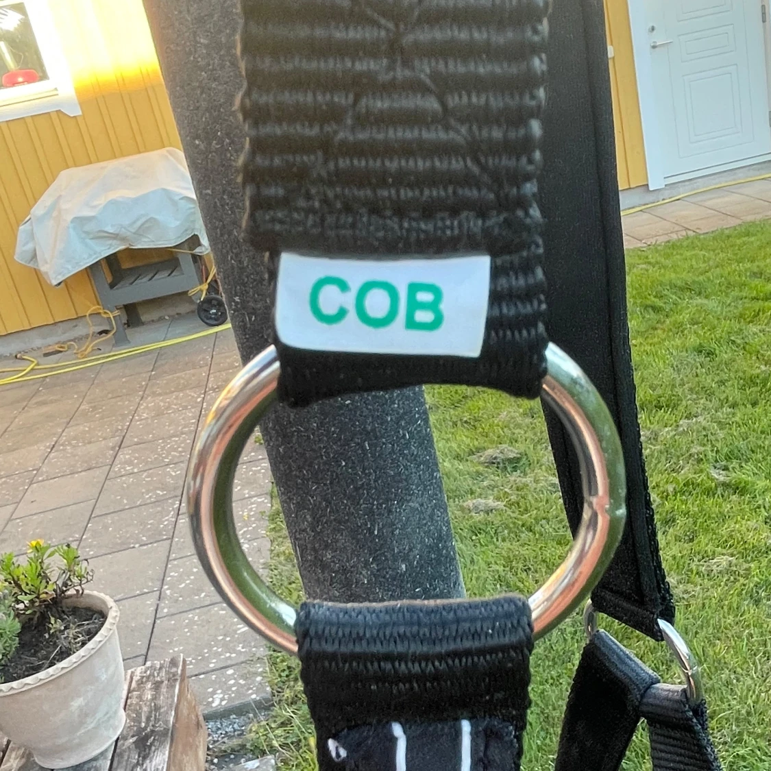 Svart grimma från Fairfield COB - 1