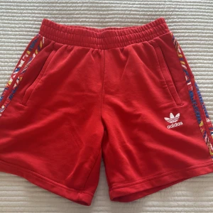 Röda Adidas shorts med färgglada detaljer - Snygga röda shorts från Adidas med elastisk midja och färgglada mönstrade ränder längs sidorna. Klassisk Adidas-logga i vitt framtill. Perfekta för sommaren och träning, med mjukt material och bekväm passform.