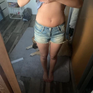 Lågmidjade jeansshorts från Scorpion - Snygga lågmidjade jeansshorts från Scorpion med slitna kanter. Shortsen har en cool dödskalle brodering och blekta detaljer. Köpta o thailand