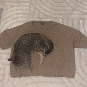 Beige tröja från Lindex - Säljer en mysig beige tröja från Lindex. Tröjan har en enkel design med rund hals och korta ärmar, perfekt för en avslappnad stil. Passar bra till både jeans och kjol. 🐱