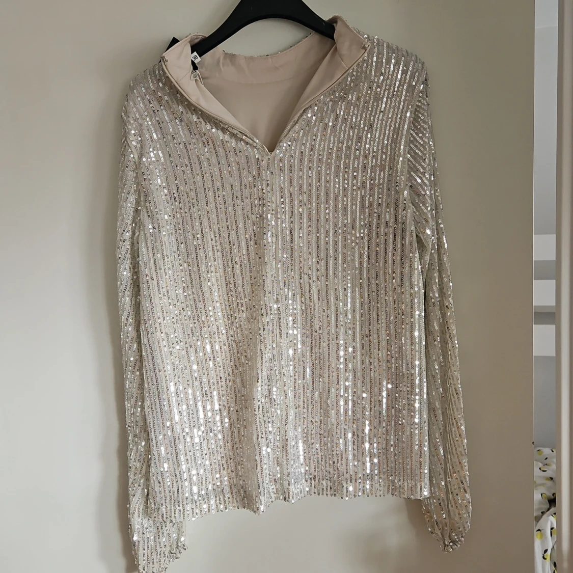 Glittrig silverblus. - 1