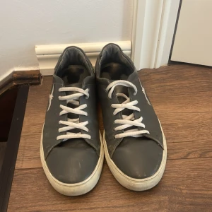 Axel arigato - Säljer ett par grå sneakers med vitt fågelmotiv på sidan. Skorna har vita snören och vit platt sula. Perfekta för dig som gillar enkel stil med en liten detalj. Passar till det mesta och är riktigt bekväma.