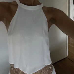 Zara topp  - Nästan aldrig andvänd, så fin för utekväll 😇