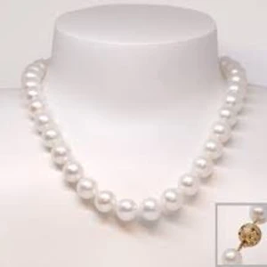 Trendigt halsband  - Säljer mitt halsband då jag har redan två av dessa❤️ Köptes för 70kr och säljs nu på mitt Plick konto för halva priset❤️super gullig!