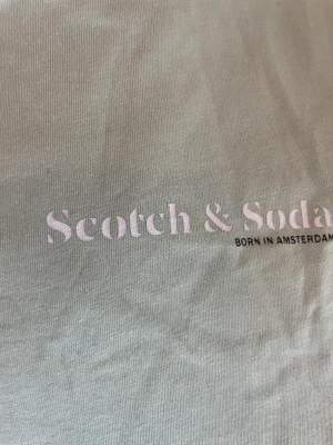 Scotch & Sofa T-shirt - Stor i storleken 