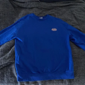 Sweatshirt  - Blå sweatshirt från Junkyard storlek S