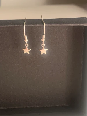 Silver stjärna örhängen💕 - Jätte fina silver stjärna örhängen (inte äkta silver)💓 säljer för inte kmr till andvändning😕
