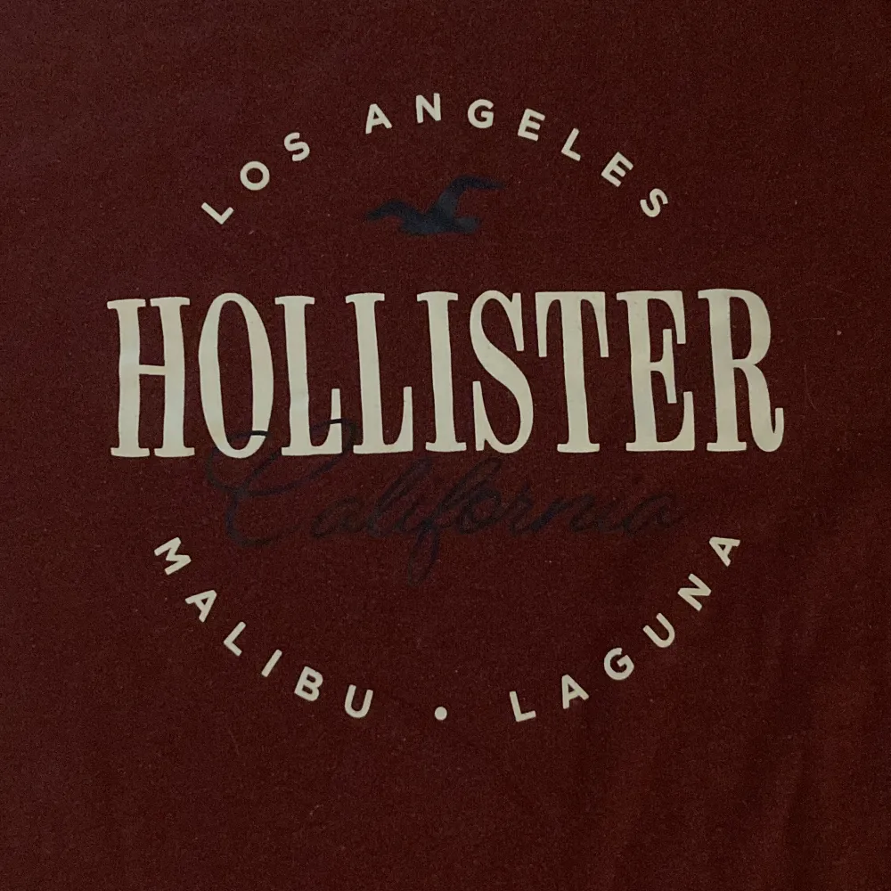 Fin tskirt från hollister. . T-shirts.