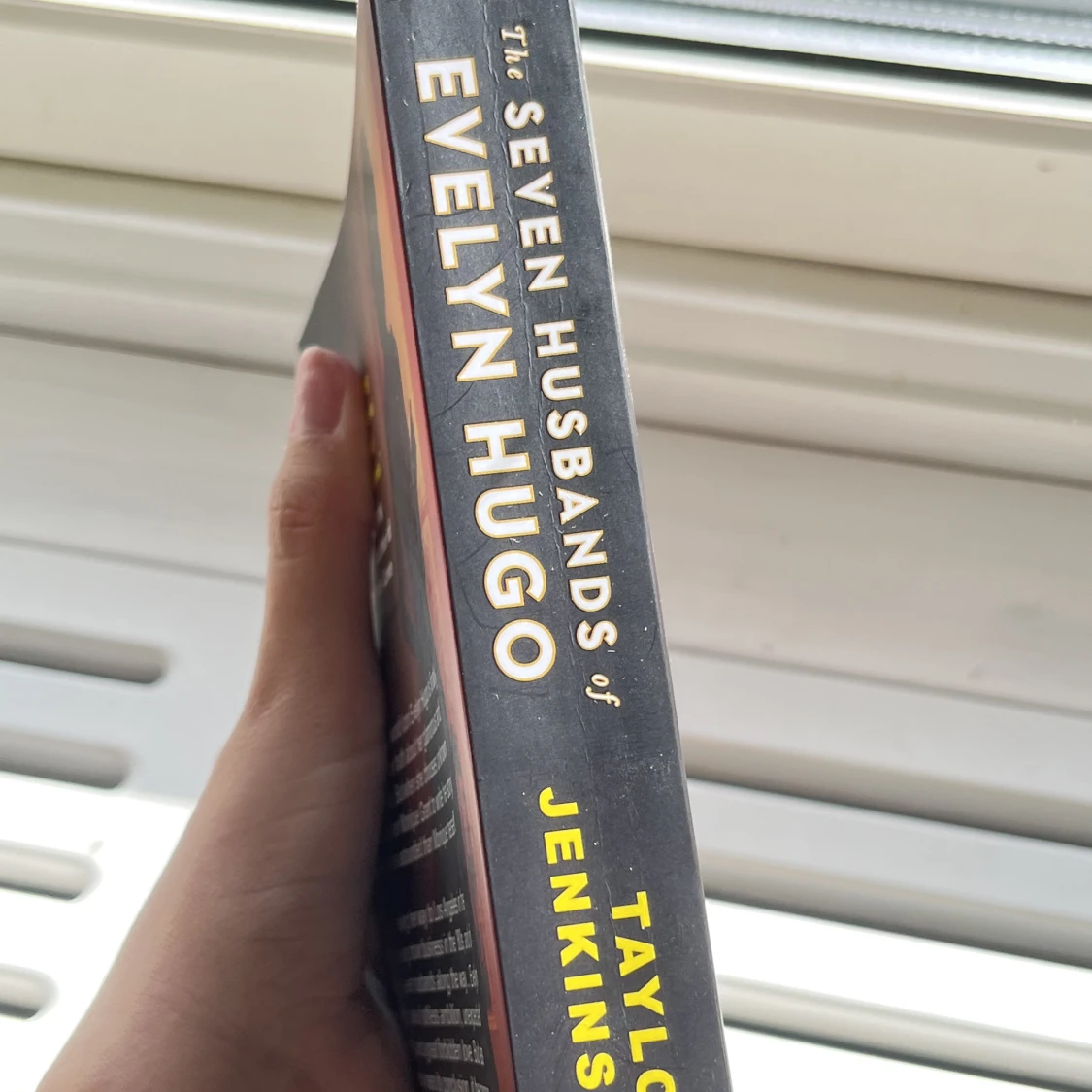 Bok-The seven husband of Evelyn Hugo - 91