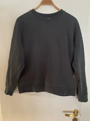 Sweatshirt  - Strl M  Fint skick 