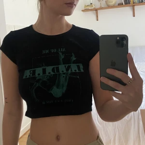 Brandy Melville topp - Super snygg Brandy Melville topp med blå/grönt grafiskt motiv på. Super fint skick då jag inte har använt den så många gånger💕