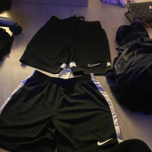 Träningskortet  - Säljer träningsshorts då dom aldrig kommer till användning en fläck på ena där bak men går bort med galltvål båda för samma pris eller 60/st  