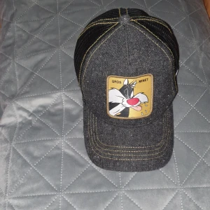 Capslab keps - Nästan helt oanvänd. Jag tror att det är enda capslaben med det här materialet.