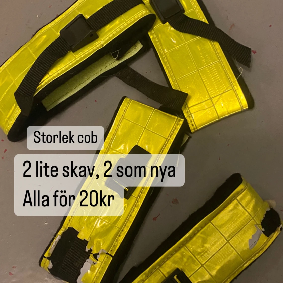 Reflexer till häst - 91