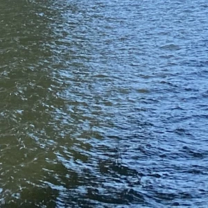 Fri frakt - Fri 📦 