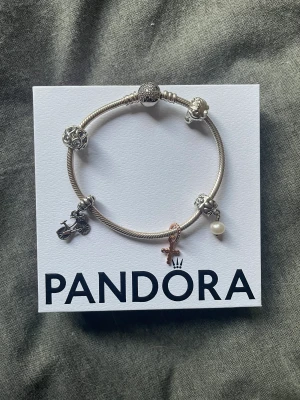 Pandora armband - Jättefint berlockarmband från Pandora med tillhörande 5 berlocker (2 enskild såld) som är nästintill oanvänt och i mycket bra skick💗Vet tyvärr inte vart berlockerna är ifrån. Armbandet är tyvärr för stor för mig och därav blir den sällan använd.    