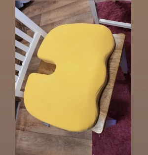 Ny sittkudde  - Ny sittkudde  250:- plus porto eller hämtas i Näsum 