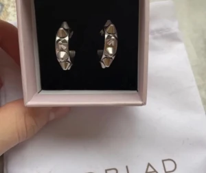 Edblads örhängen  - Kommer inte till användning längre