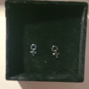 Örhängen i äkta silver - Fina örhängen helt oanvända i orginalförpackninf. Fick de i present för ett år sedan och inser att de inte kommer navändas då de inte är min stil. Superfina i nyskick då de är helt oanvända. Pris går att diskutera!